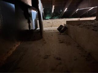 Rodent cleanup and insulation upgrade in Beaver Falls, PA 15010