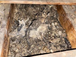 Rodent cleanup and insulation upgrade in Beaver Falls, PA 15010