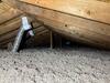 Attic mold remediation and insulation upgrade in Amity, PA 15311