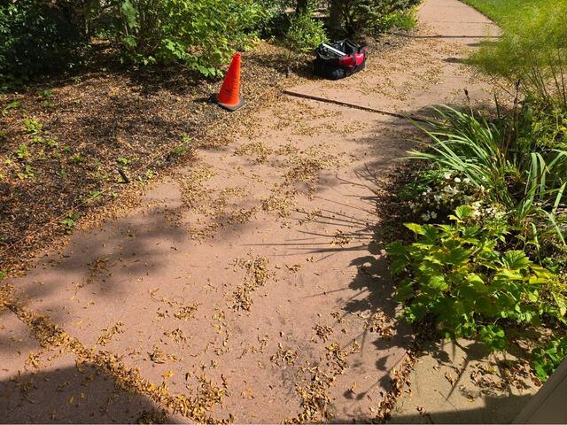 Walkway Repair in Bedford, MA