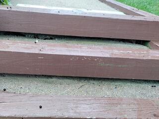 Walkway Leveling, Narraganset, RI