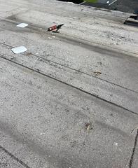 Flat Roof Repair in Harrison, NY