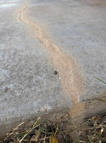 Concrete Revived: Patio Lifted and Restored in Andrews, TX