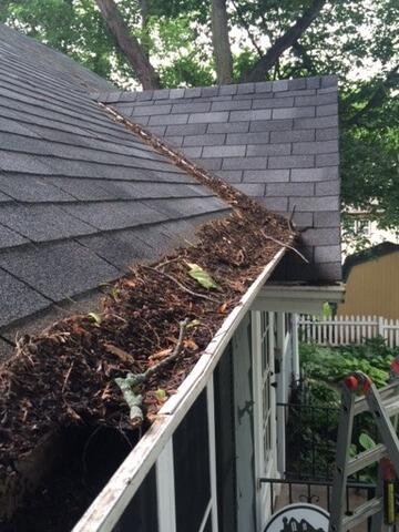 LeafX Gutter Cover Installation in St. Paul, MN
