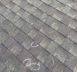 Roof Inspection and Roof Replacement in Golden Valley, MN