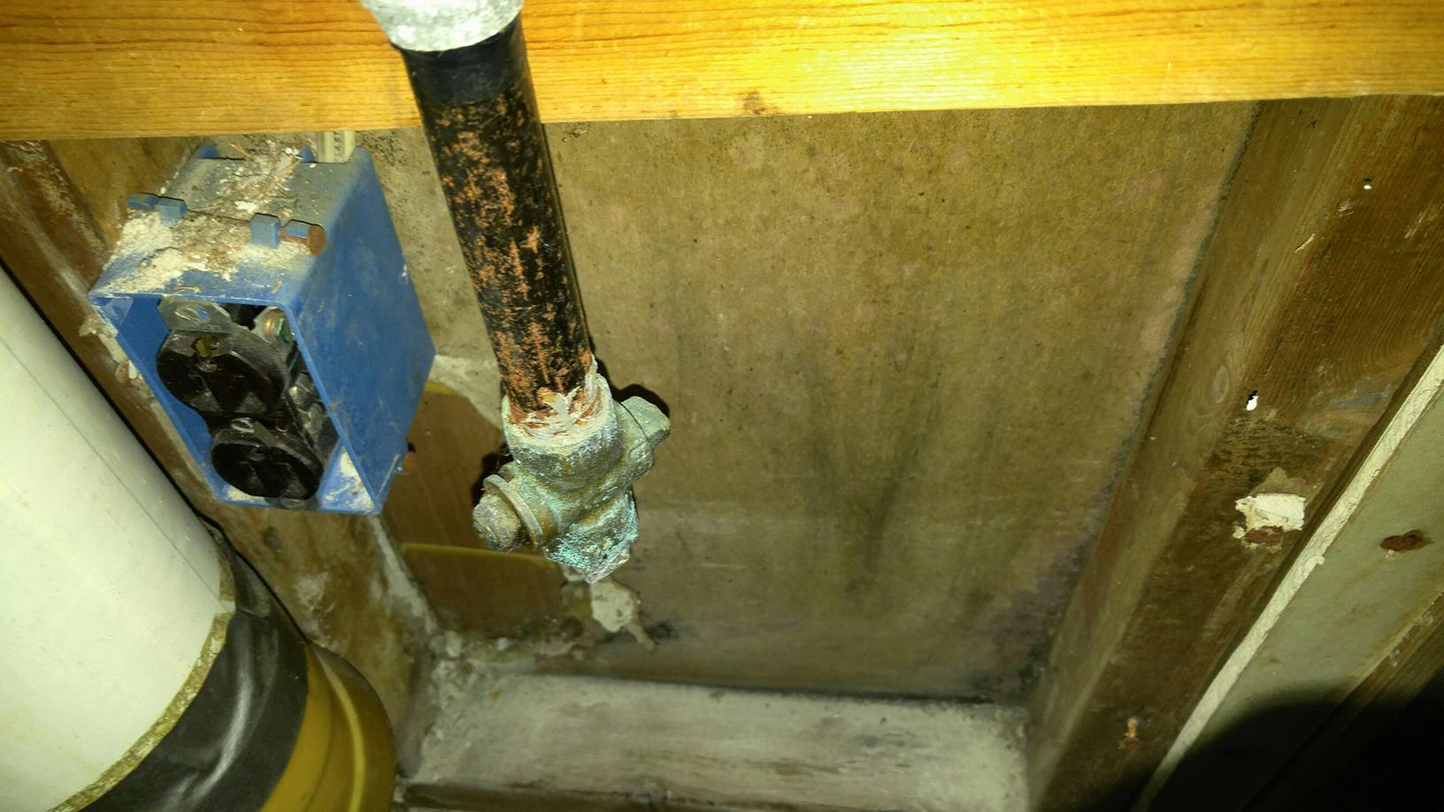 Mold Solutions by Cowleys Before & After Photo Set Improperly