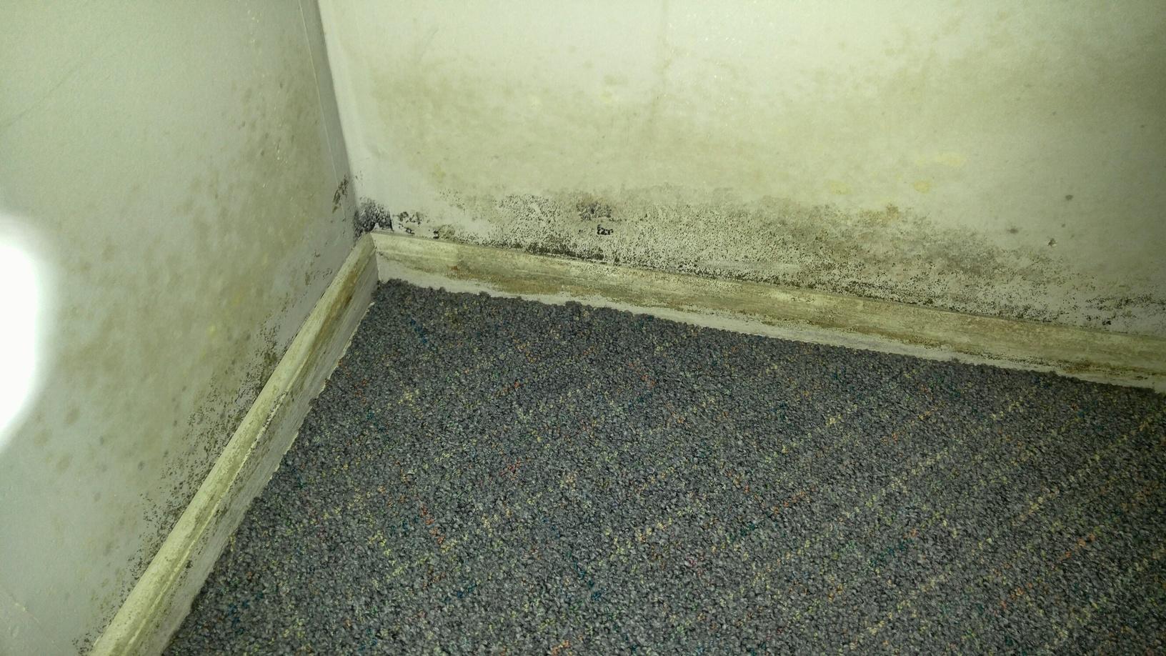 Mold Solutions by Cowleys Before & After Photo Set Hot Water Heater