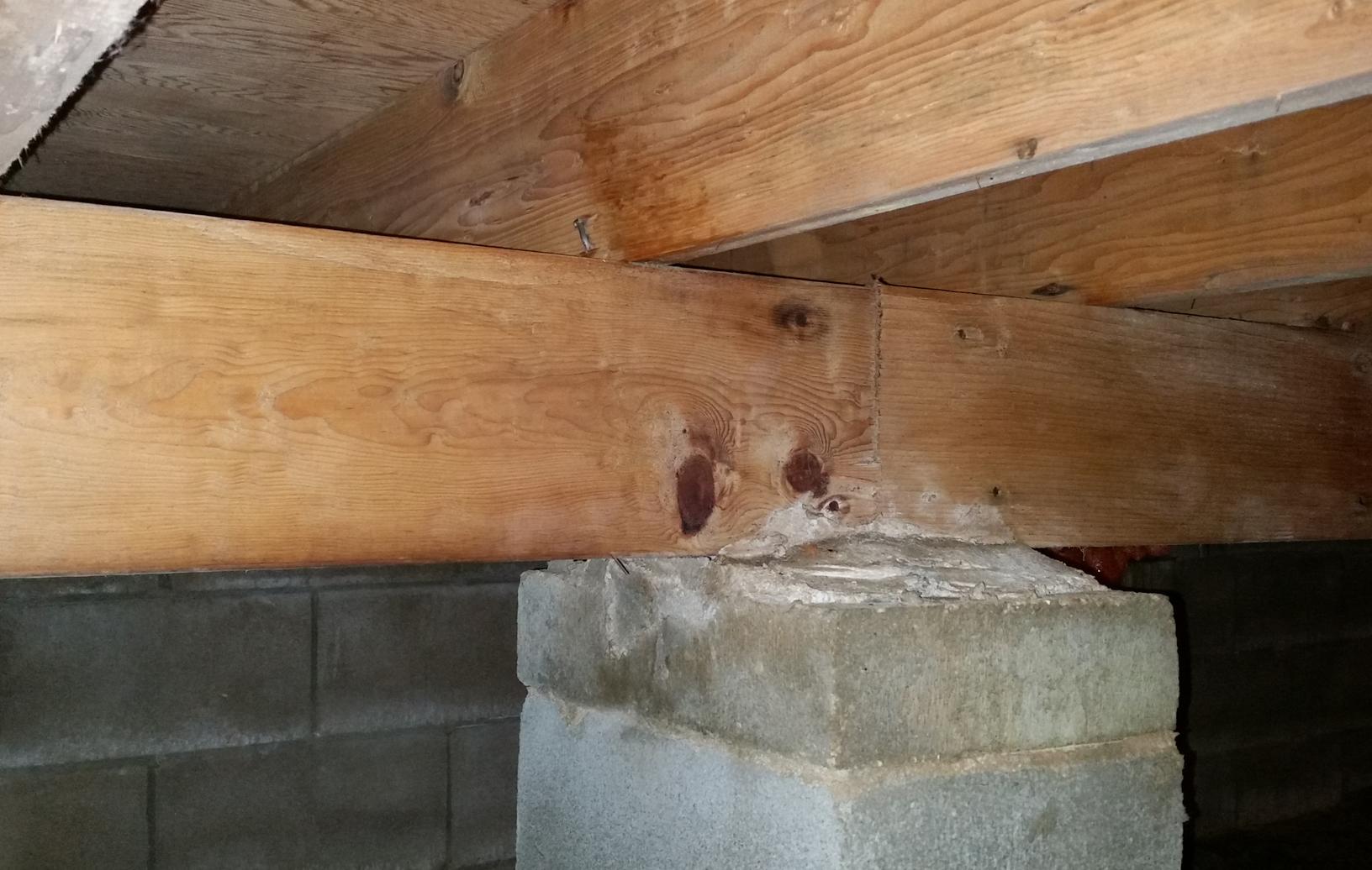 Mold Solutions by Cowleys Before & After Photo Set Mold All Over