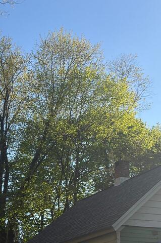 Roof Replacement in Seymour, CT - After Photo