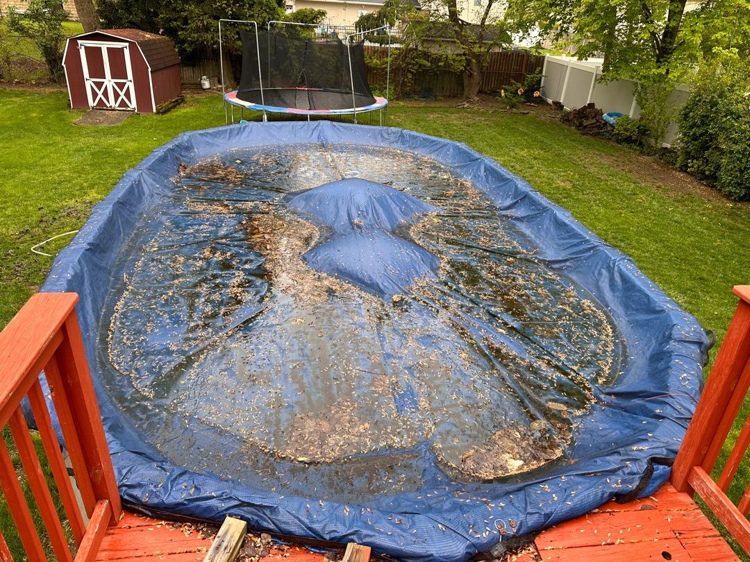 Y.E.S. Contractors Before &amp; After Photo Set - Above Ground Pool Opening