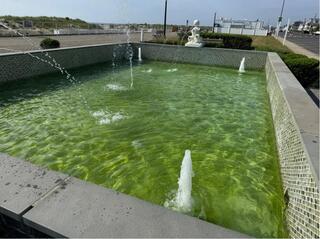 Fountain Maintenance in Bradley Beach, New Jersey