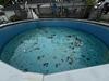 Above Ground Swimming Pool Opening in East Brunswick, NJ