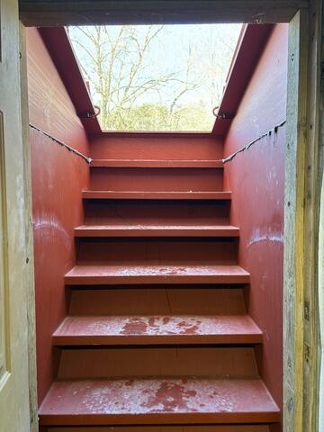 Replacing an Old Cellar Door & Stairs in Kerhonkson, NY - After Photo