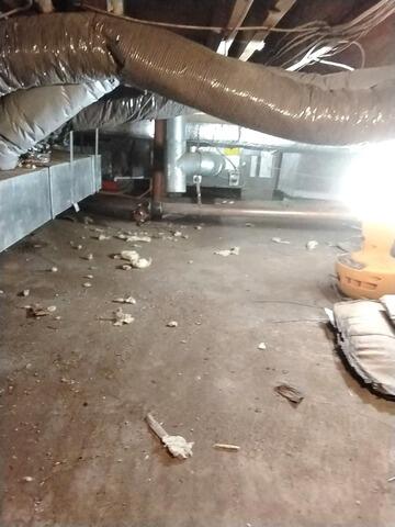 Encapsulating A Crawl Space in Rock Hill, NY - Before Photo
