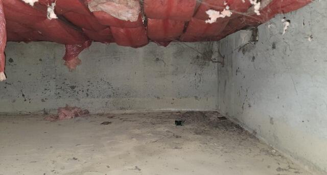 Transforming a Crawl Space in Newburgh, NY - Before Photo