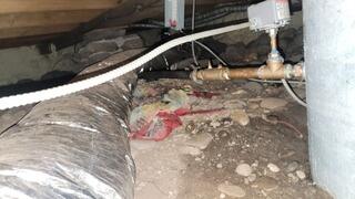 Keeping Water Out of a Crawl Space in Phoenicia, NY