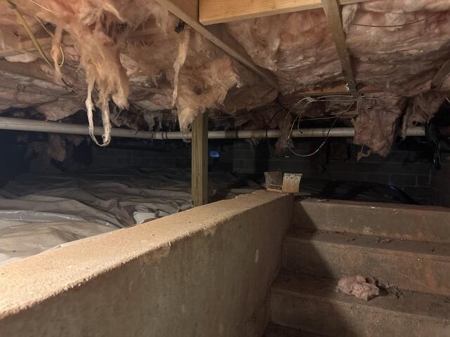 Crawl Space Encapsulation in Washington, DC