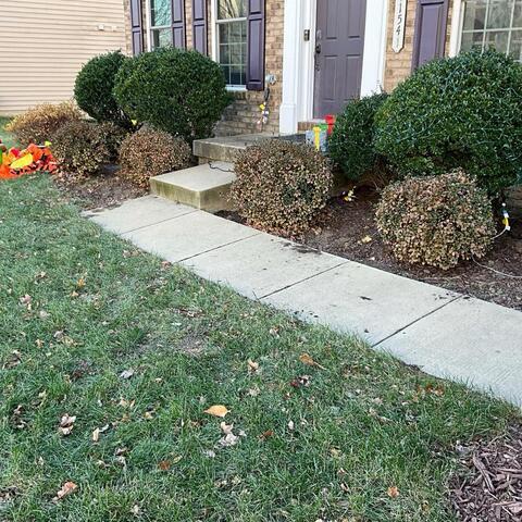 Concrete Sidewalk Leveling and Lifting in Aldie, VA - Before Photo