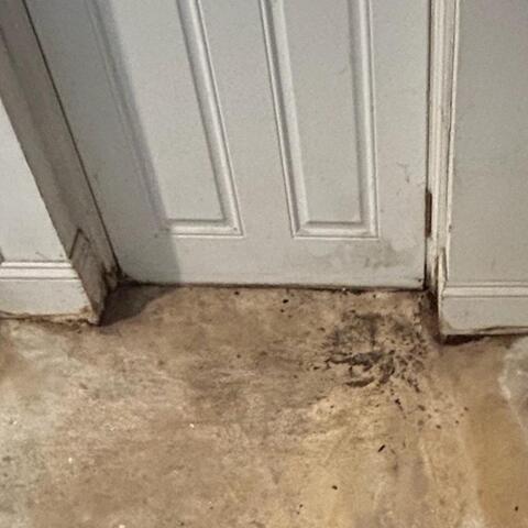 Basement Waterproofing in Washington DC