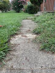Concrete Repair in District Heights, MD: Fixing Cracked and Uneven Sidewalks