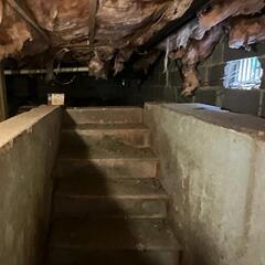 Crawl Space Encapsulation in Washington DC Townhome