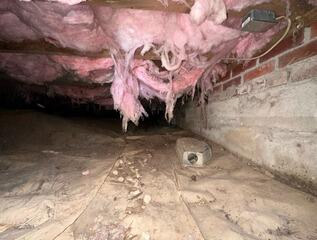 Crawl Space encapsulation in Arlington, VA