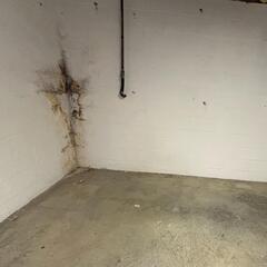 Basement Waterproofing in Burke,VA