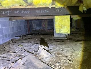 Crawl Space Encapsulation in Berryville