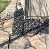 Yard Drainage Solution in Montgomery Village, MD