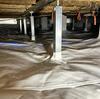 Comprehensive Crawl Space Repair and Foundation Stabilization in Stafford, VA