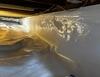 Crawl Space encapsulation in Arlington, VA