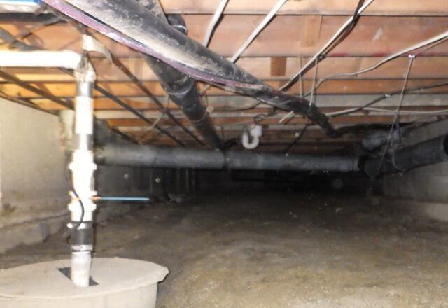 Crawl Space Encapsulation and Mold Remediation in Lebanon - Before Photo