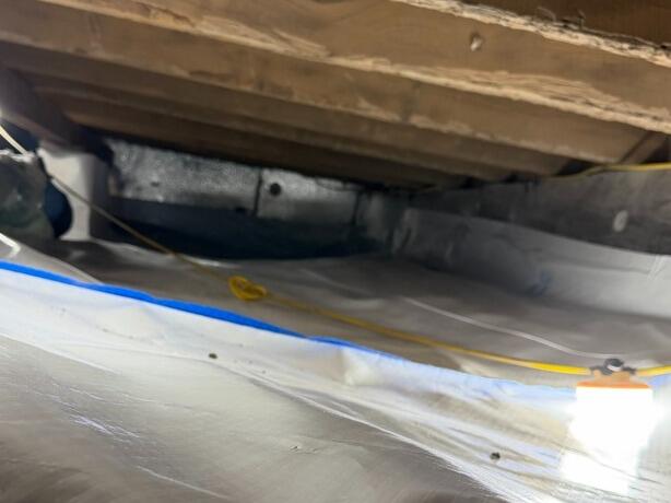 Upland Crawl Space Transformation