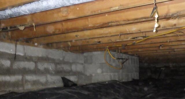 Crawl Space Encapsulation in Greenfield, IN - Before Photo