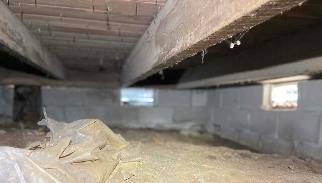 Crawl Space Encapsulation and Dehumidification in Springville, IN - Before Photo