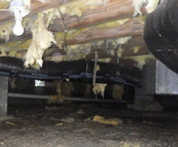 Crawl Space Encapsulation and Insulation in Selma, IN - Before Photo