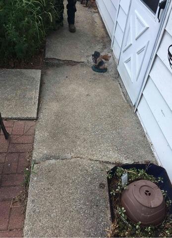 Before & After: Concrete Leveling and Stabilization in Monon - 