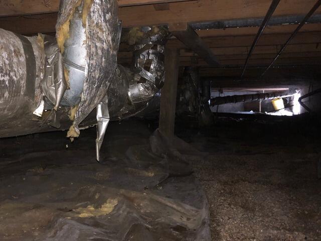 Crawl Space Encapsulation and Moisture Control in New Palestine - Before Photo