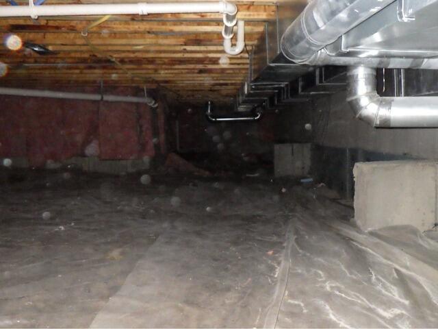 Crawl Space Encapsulation and Moisture Control in Zionsville - Before Photo