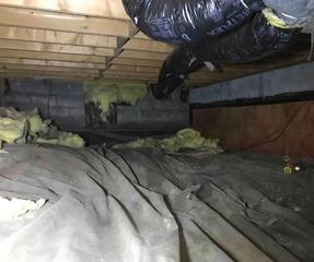 Wet Crawl Space in Greenwood, IN