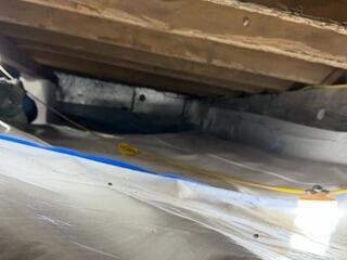 Upland Crawl Space Transformation