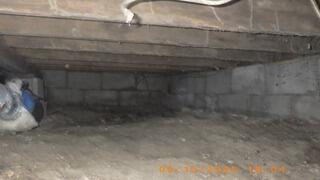 Upland Crawl Space Transformation