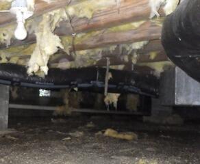 Crawl Space Encapsulation and Insulation in Selma, IN