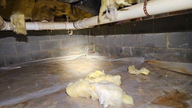 Crawl Space Protection in Holly Springs, NC - Before Photo