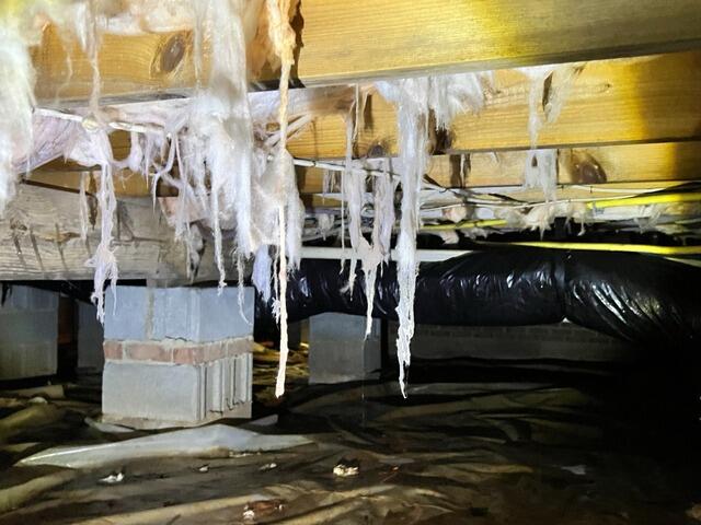 Crawl Space Encapsulation and Moisture Control - Holly Springs, NC