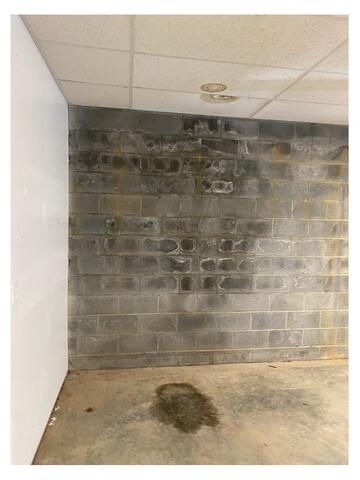 From Damp Walls to a Dry, Healthy Space in Vilas, NC