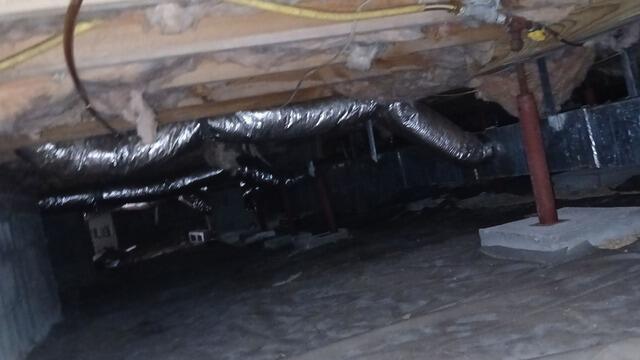 Crawl Space Moisture Protection & CleanSpace Encapsulation - Archdale, NC - Before Photo