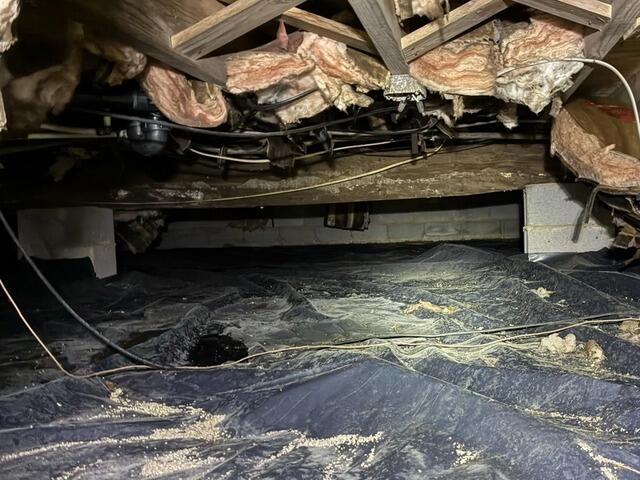 Standing Water in Crawl Space Solved with Vapor Barrier in New Hill, NC - Before Photo