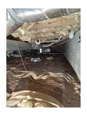 Clean, Dry, and Protected: Full Crawl Space Makeover - Franklinville, NC