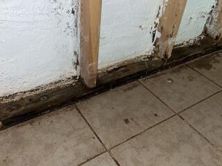 Restoring Peace of Mind in Lexington, NC: Waterproofing & Encapsulation Success